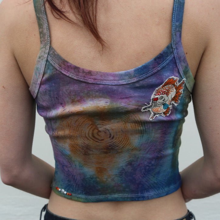 Rainbow Fish Tank